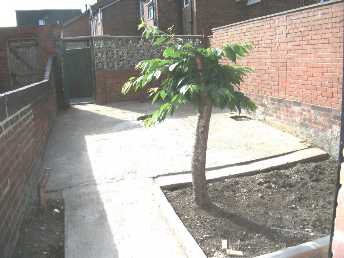 DSCF4525.JPG