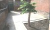 DSCF4525.JPG